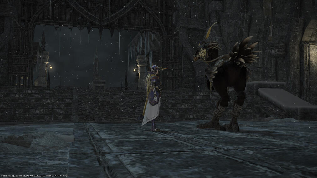 Arriving at Falcon's Nest