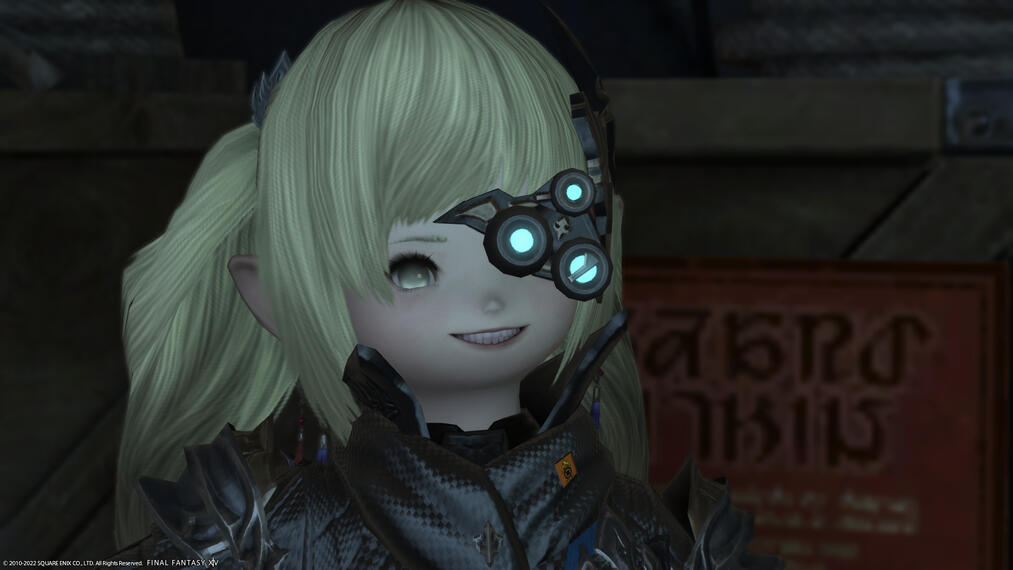 I solemnly swear I am up to no good